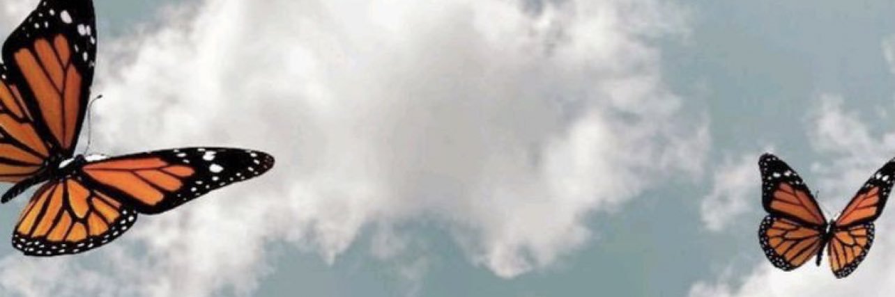 madgthay's profile banner image
