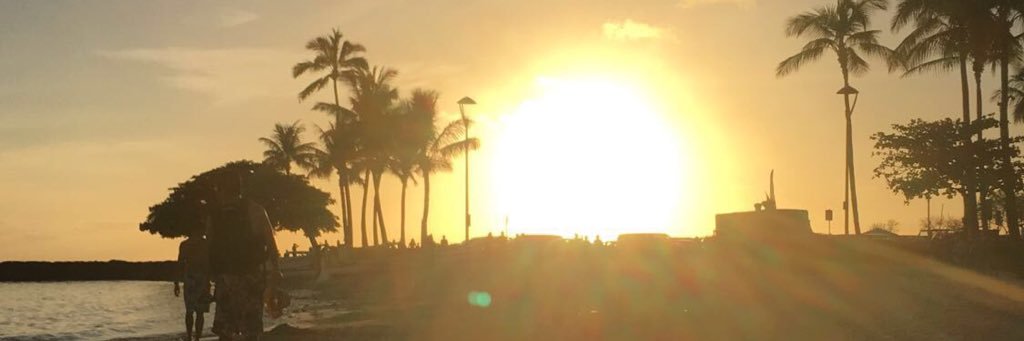 thereelbigbird's profile banner image