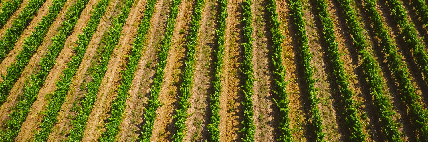 Município de Alenquer banner