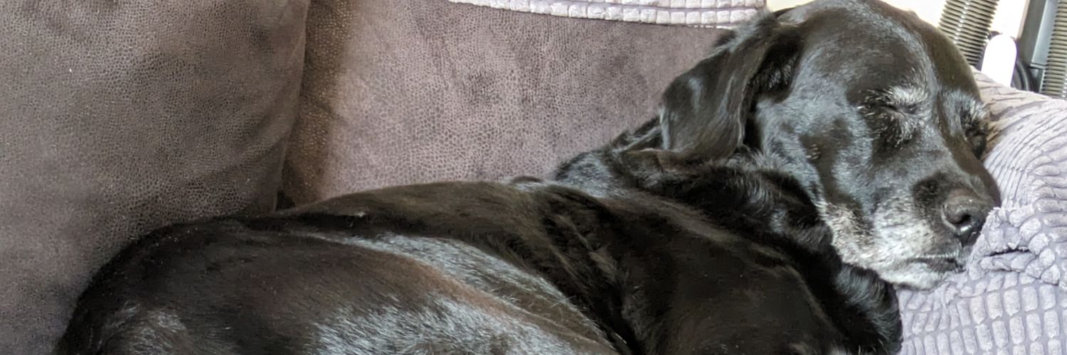 NathanJonty's profile banner image