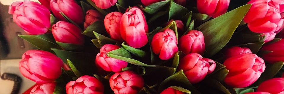 Елена Иванова banner