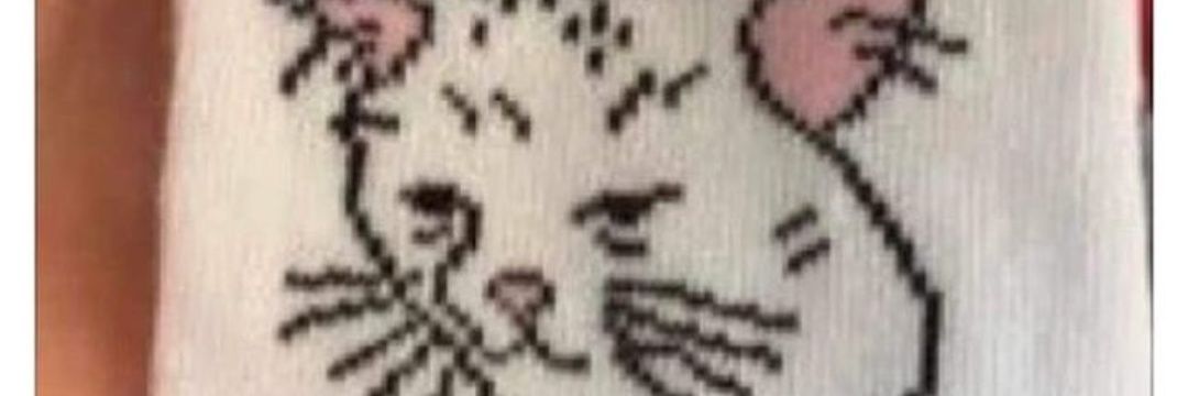 sddsbailefunk's profile banner image