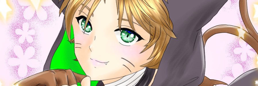 いあっち🍀こたぬき💚🥷 banner