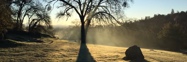 grob_22 Profile Banner