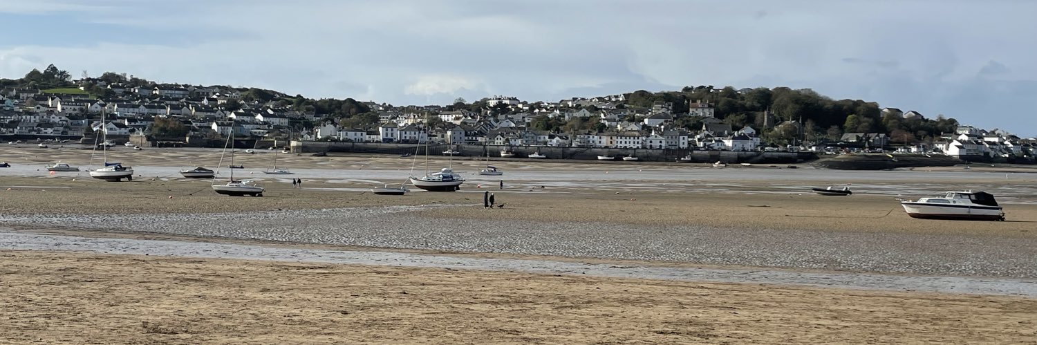 Sarah ⚽️🏏🎾👨‍👩‍👦‍👦🫖😊 banner