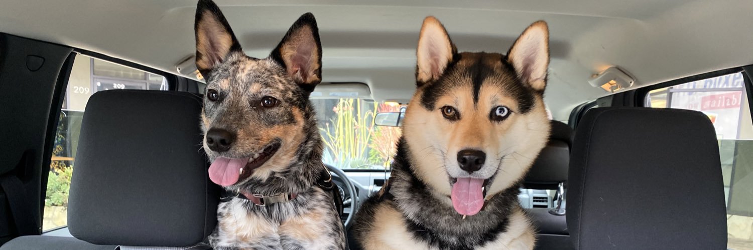 Rob Sanchez Jr banner