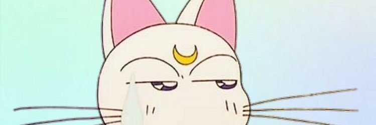 mahgois_'s profile banner image
