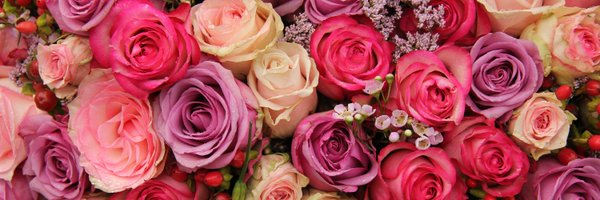 NatalieAlleyn Profile Banner