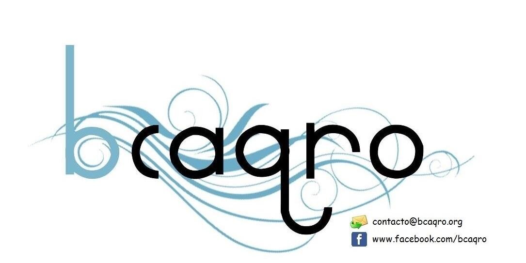 bcaqro's profile banner image