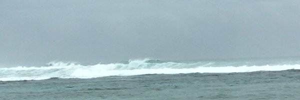 Sandraefe2013 Profile Banner