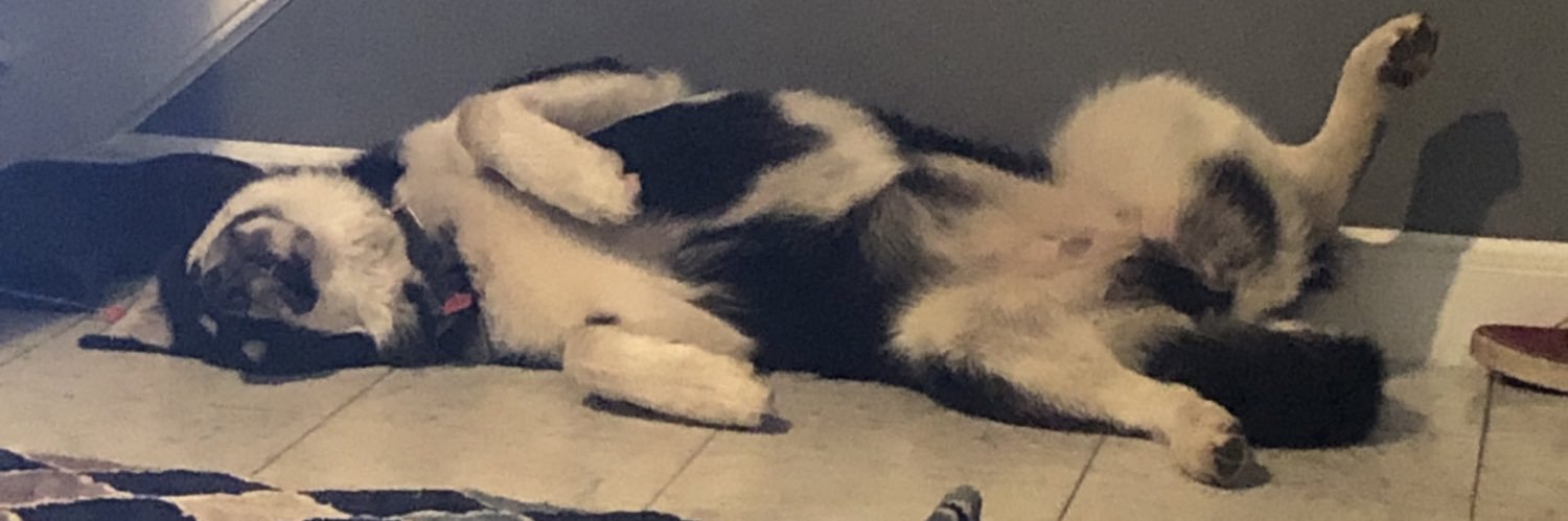 isthatjrc's profile banner image