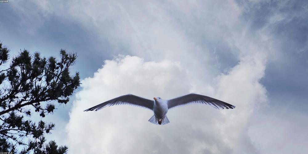 kapil_dave's profile banner image