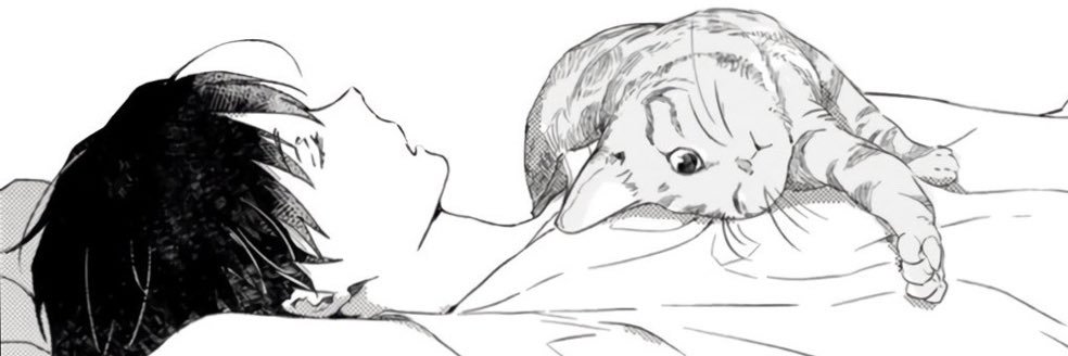 Aquiles banner