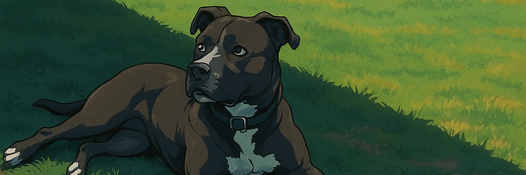 gimj_daniel's profile banner image