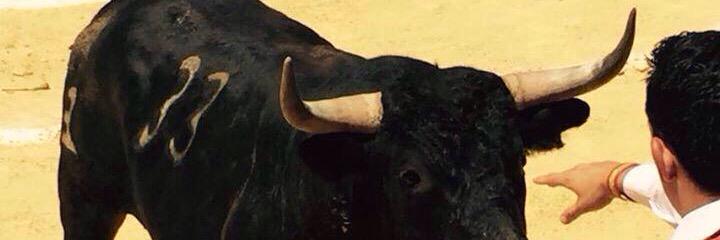LecumberriH's profile banner image