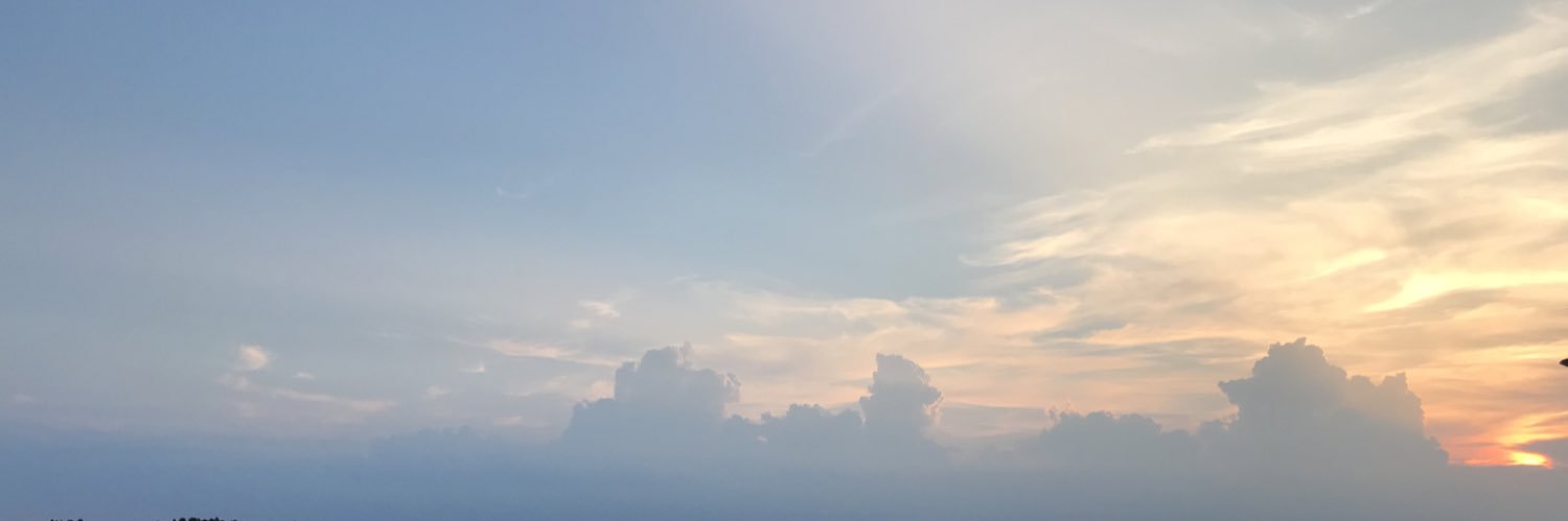 noeplu's profile banner image