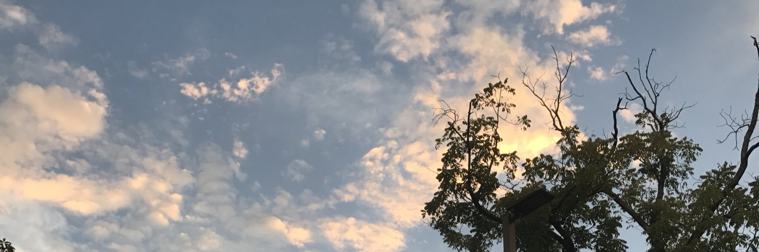 Rhasciaa's profile banner image