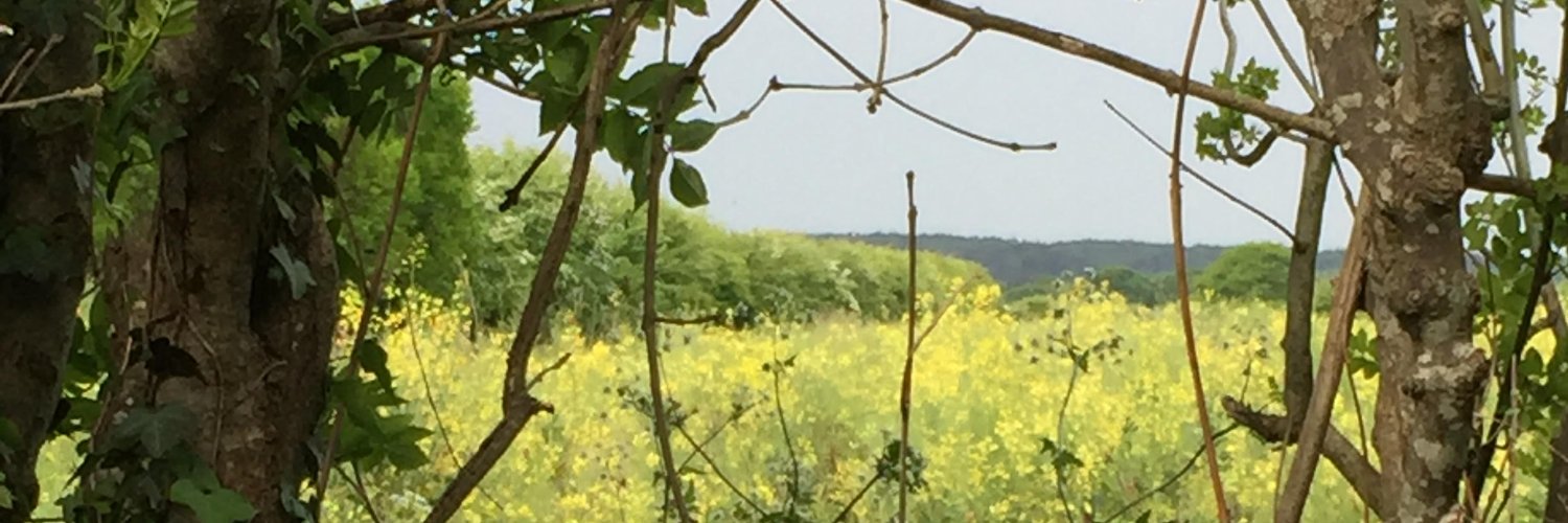 AVBEngLang's profile banner image
