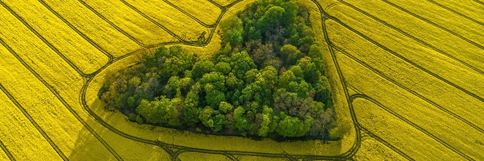 Szymon Statkiewicz banner
