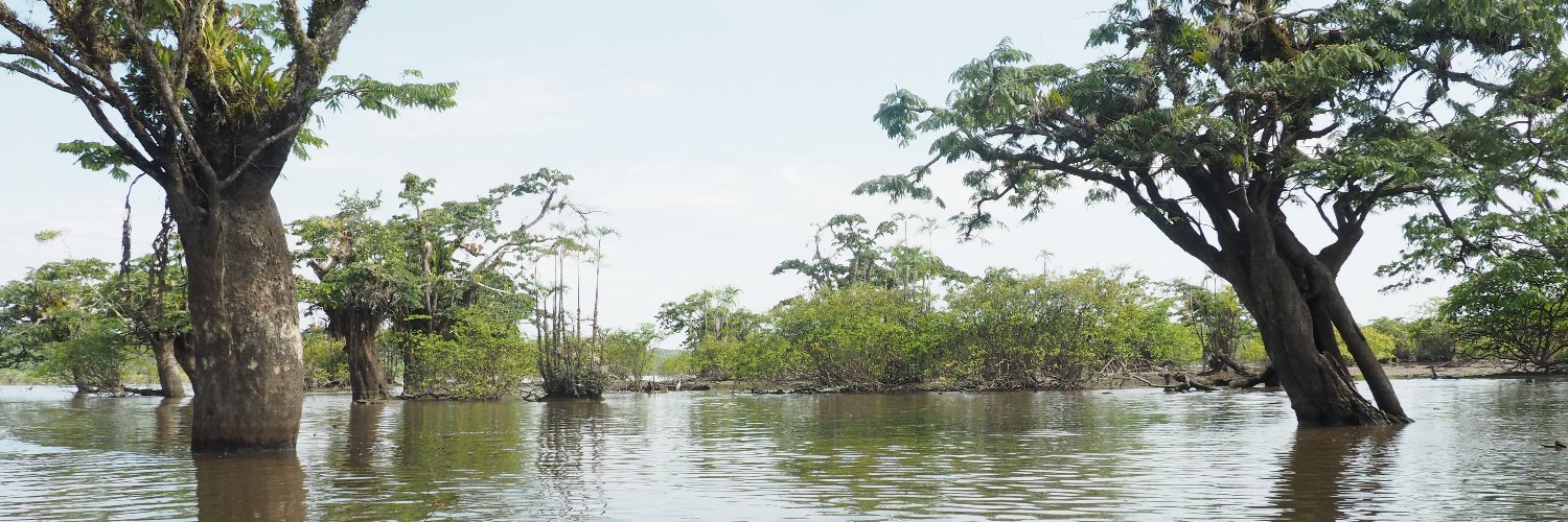 Amy Elizabeth Shipley banner