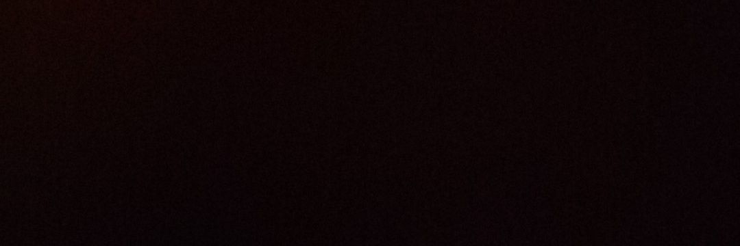 Vij banner