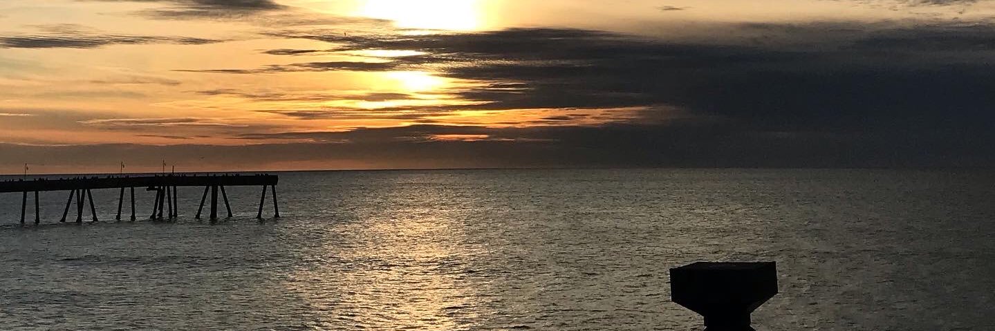 Dr. Suzette Walden Cole banner