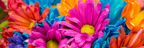 MsNaz_SEND Profile Banner