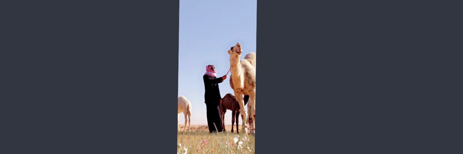 saoo_511's profile banner image