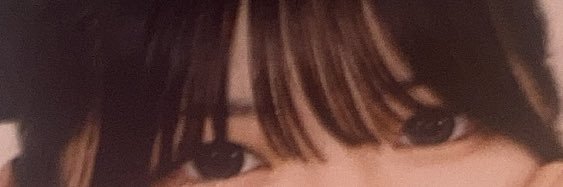 ごりぱにゃんだったりごりぱっぱ…つまりTPO 略して588 banner