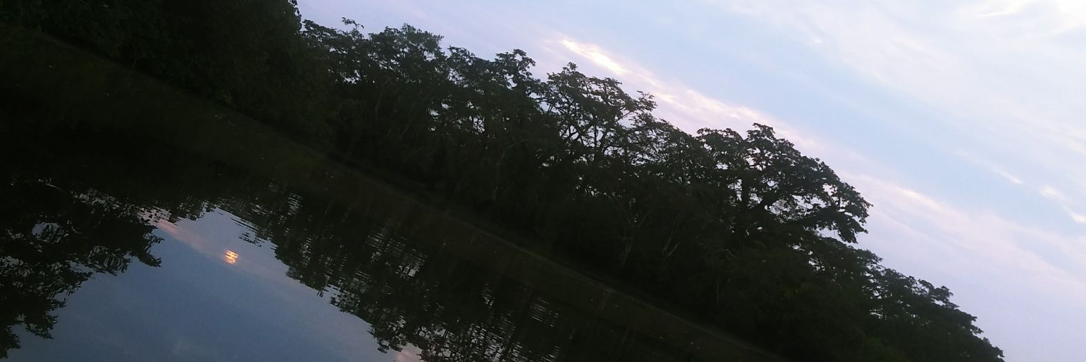 Joalberto81's profile banner image