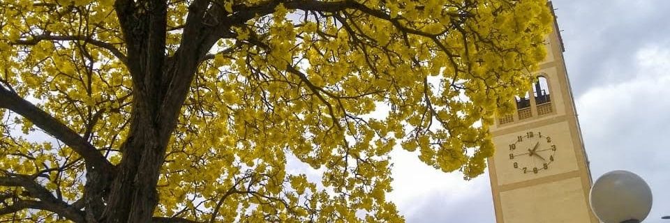 andrezzaa13's profile banner image
