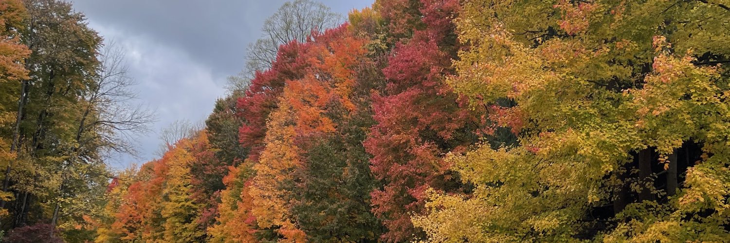 D2🌎™️  banner