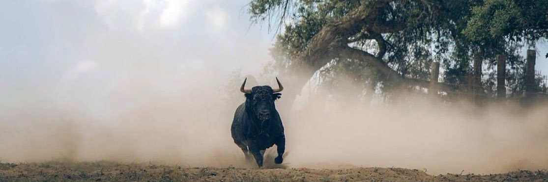 Mamonesio 🇪🇸☀️ banner