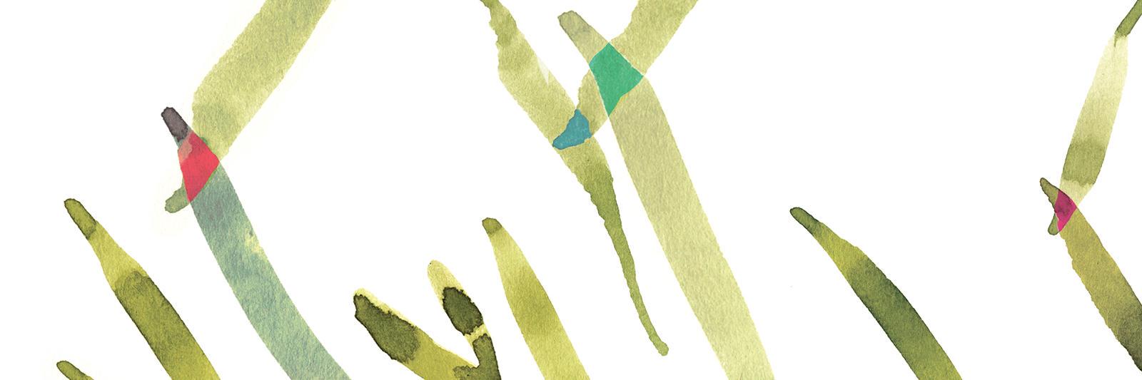 Tiny Showcase banner