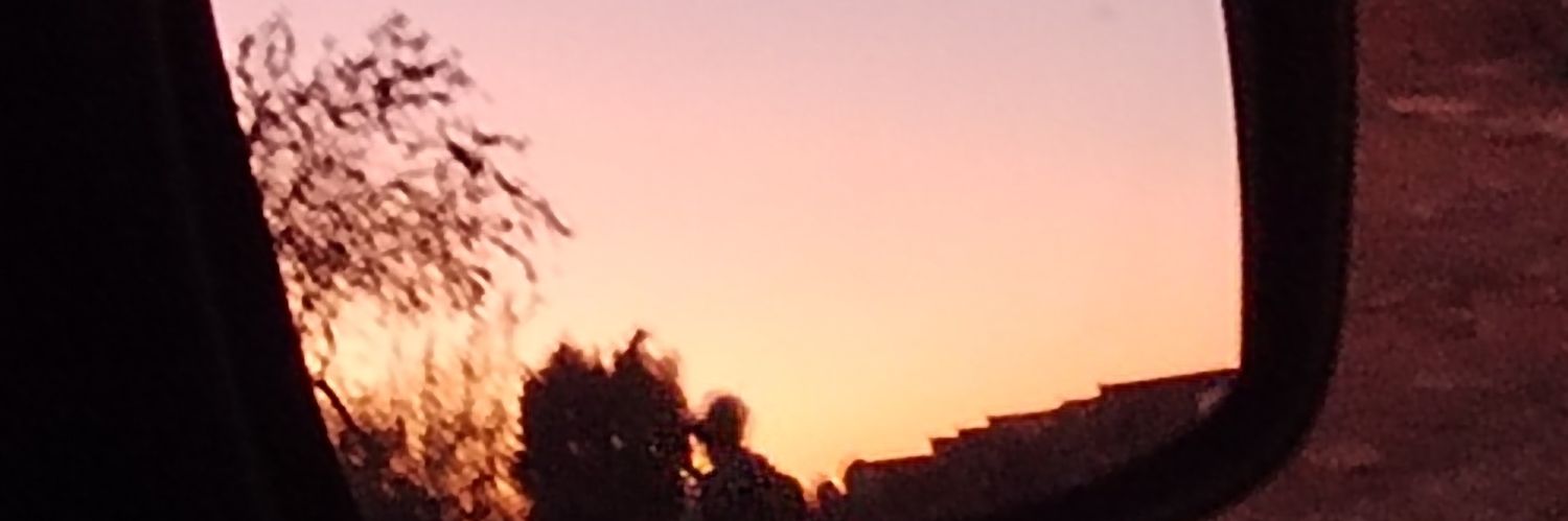 MsPinkMatter's profile banner image