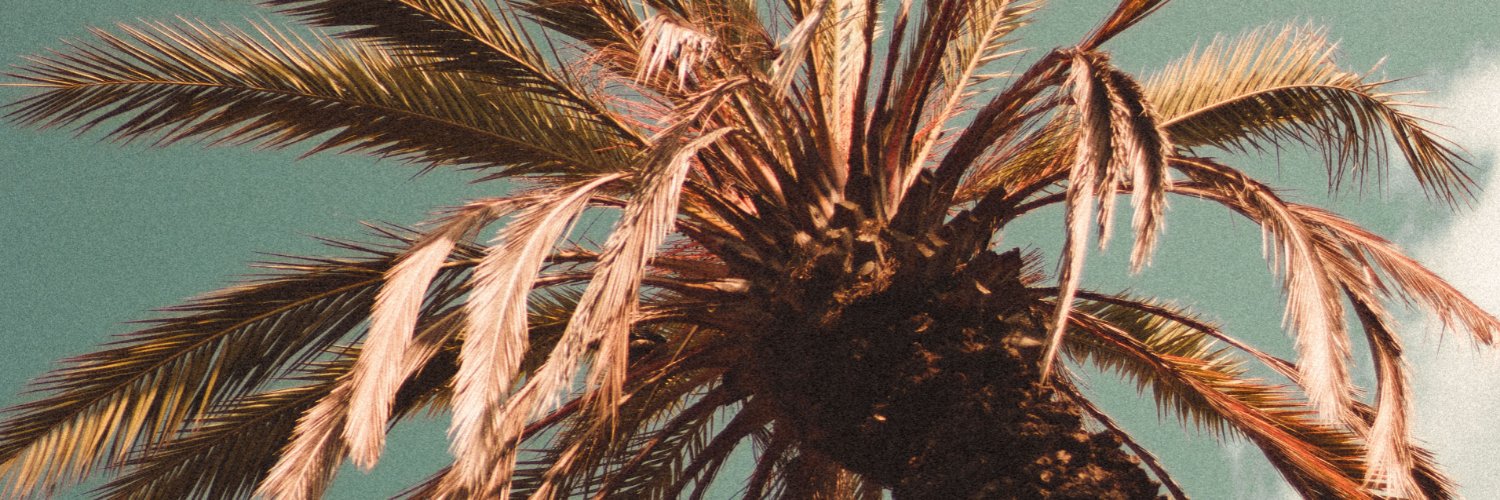 torresromain's profile banner image