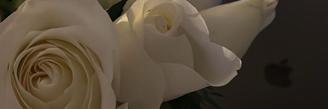 Seidl007's profile banner image