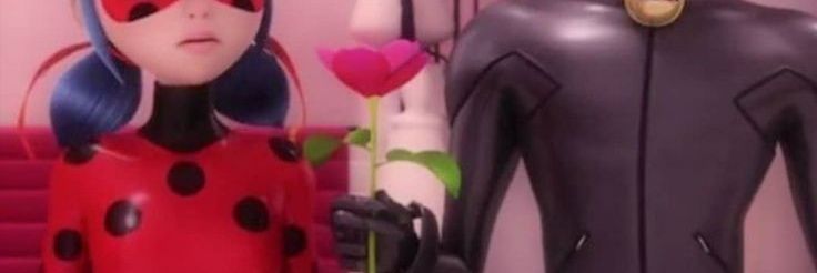 Marinette banner