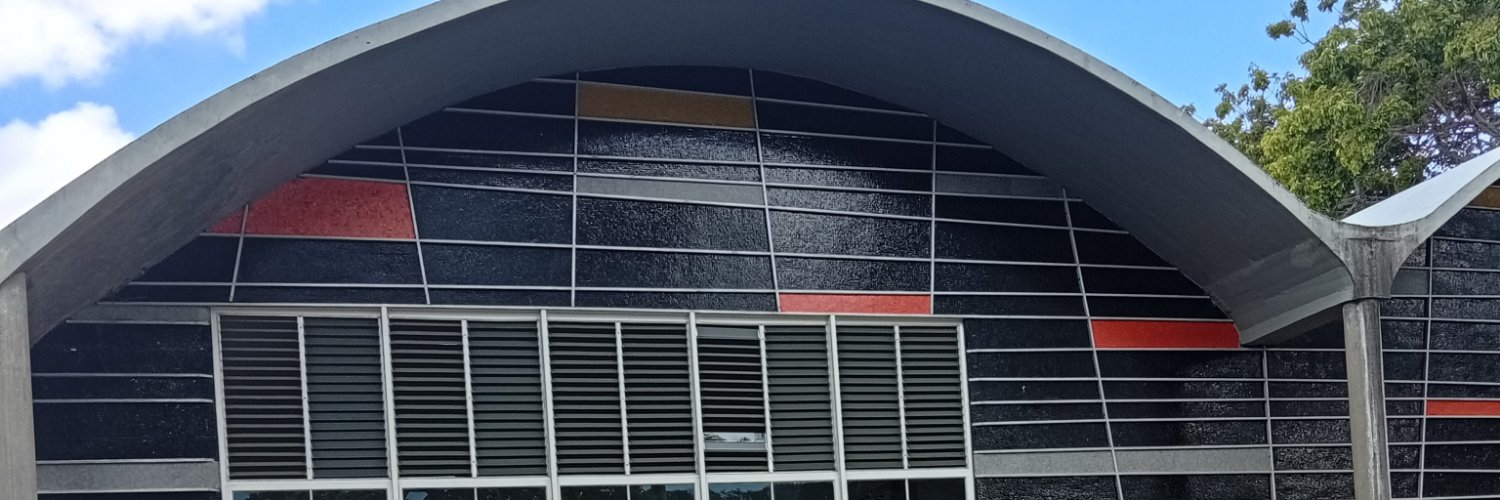 idolfonava's profile banner image