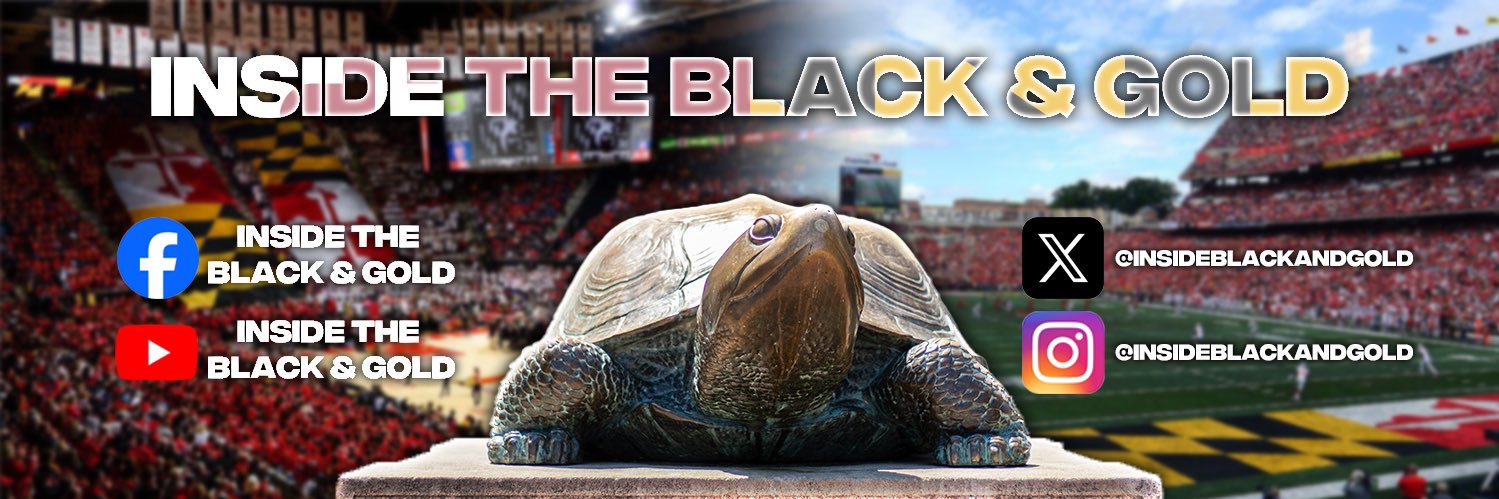 Inside the Black & Gold's banner
