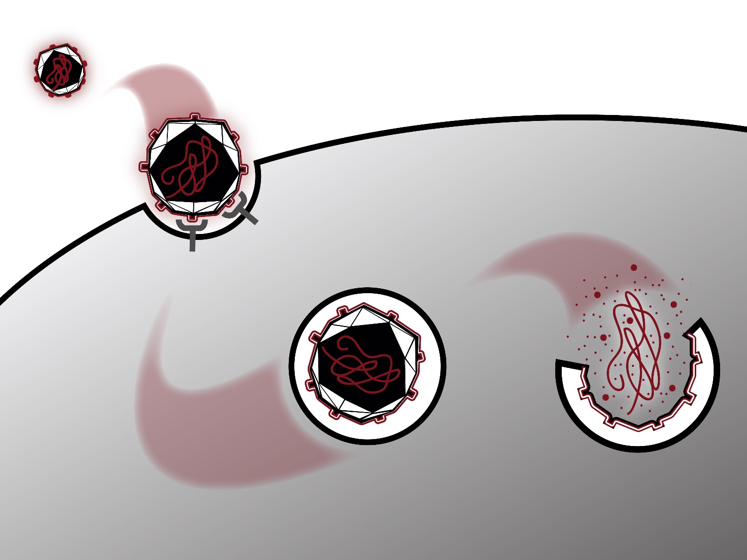 @AbrahamLabHMS's banner