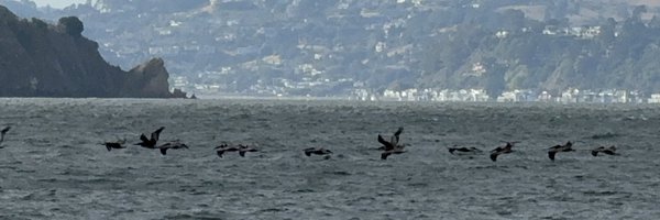 bamitsmanas Profile Banner