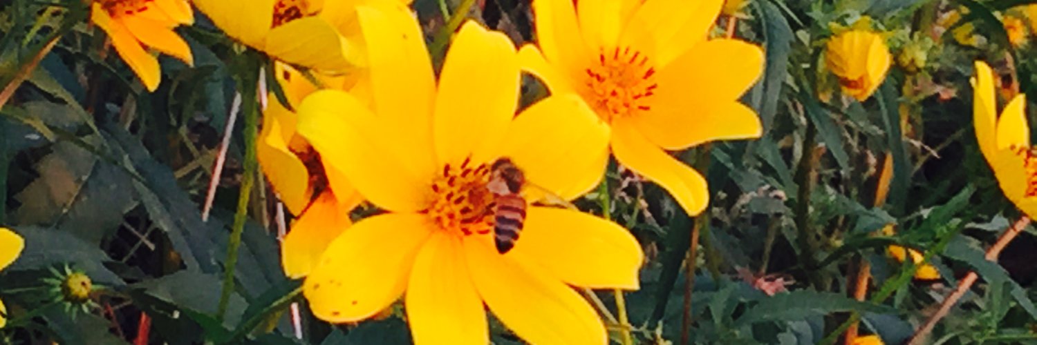 GenXBEXX's profile banner image