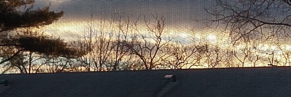 Sujata_path Profile Banner