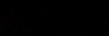 wewantdestiny3's profile banner image