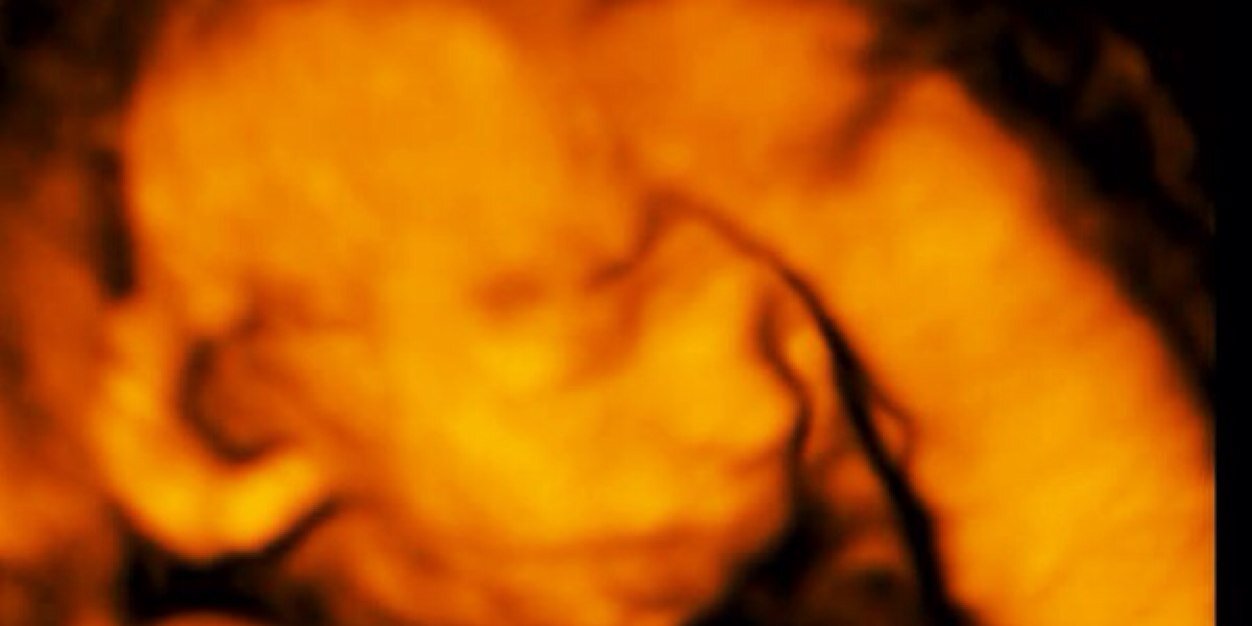 frankgjerde's profile banner image