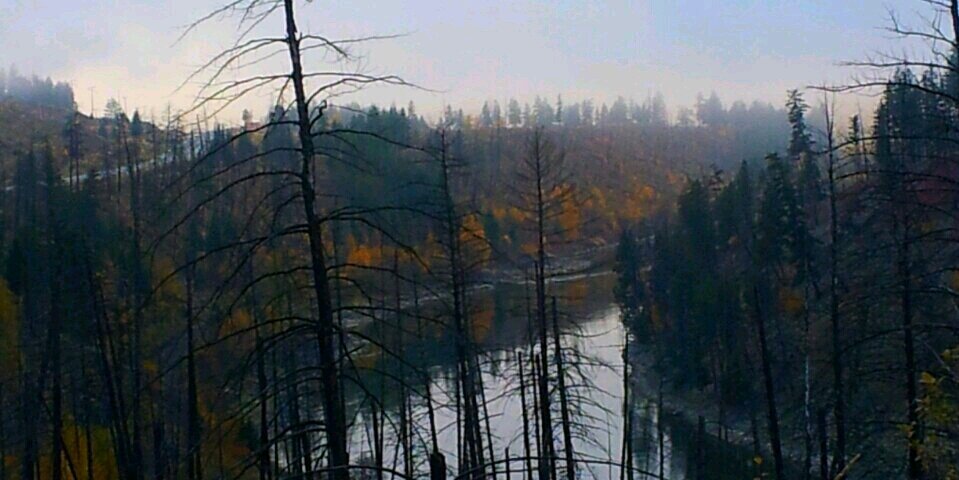 Tbrown4_'s profile banner image