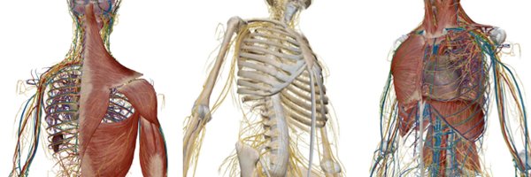 NickDoWork Profile Banner