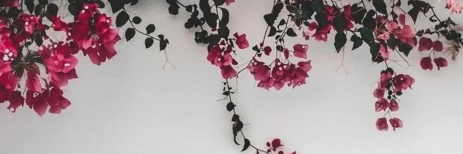 cccmbc's profile banner image