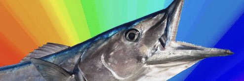 tate 🐟's banner
